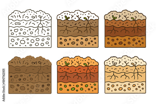 Desert Soil Layers. Layered cross-section of desert ground showing cryptobiotic crust above mineral soil, distinct textures of