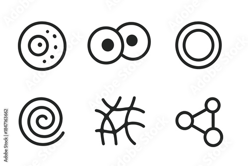 Cellular Harmony Icons. Line style icons of Cellular Harmony: single cell, dividing nucleus, membrane ring, cytoplasm swirl,