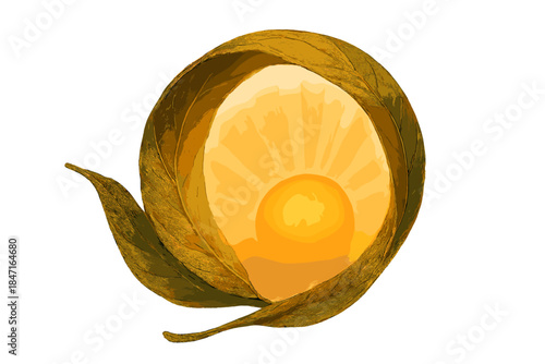 Sunrise Renewal Loop. a sunrise rising from behind a curled leaf forming a circular loop of renewal, warm amber and olive palette,