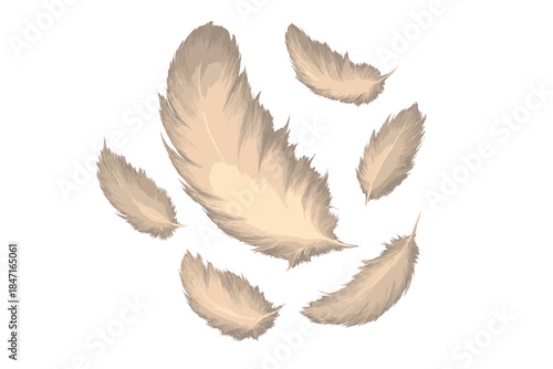 Floating Glowing Feathers. a cluster of softly glowing feathers floating midair, symbolizing a “weightless decision,” blush and