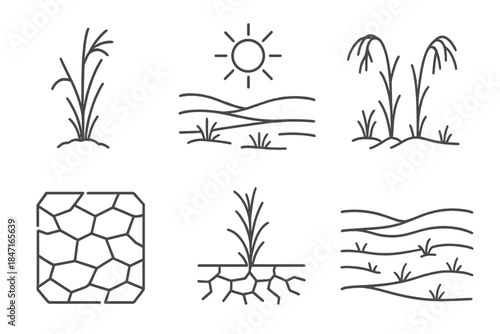 Parched Grassland Lines. Line vector icons of a parched grassland structure: brittle stem supports, dry field columns, cracked