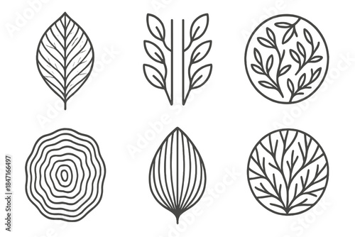 Botanical Line Icons. Line style icons of carved botanical duplication: etched veins, mirrored tubes, plant pattern, rhythmic wood