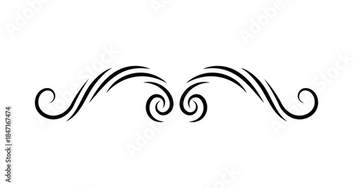 Elegant black swirl flourish divider on a white background, decorative element