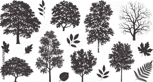 Monochrome botanical silhouettes of various trees and leaves