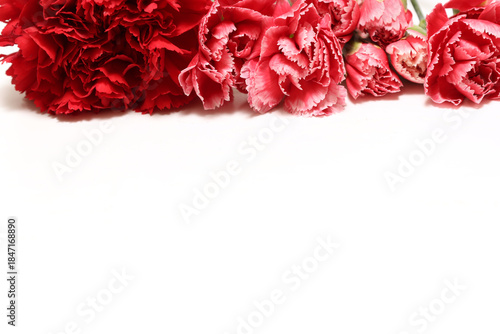 白背景のカーネーションの花束