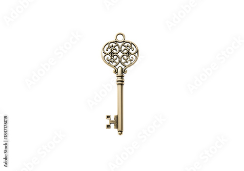 Antique metal key symbol of success unlocking the vintage door of security