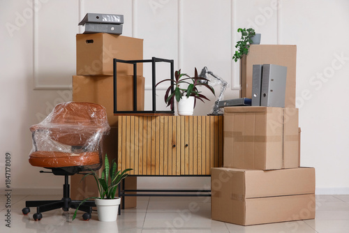 Cardboard boxes with chest ...