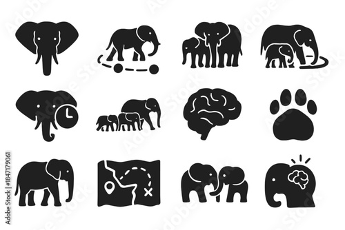 Elephant Memory Icons. Solid style icons of memory in elephants: elephant head, timeline memory path, herd gathering, watering