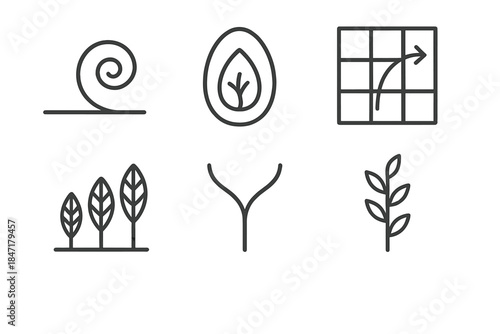 Evolutionary Horticulture Icons. Line style icons of evolutionary horticulture: spiral growth chart, ancestral seed icon,