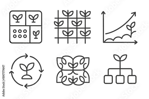 Harmonious Planting Icons. Line style icons of harmonious planting as workflow design: garden layout plan, rhythm leaf grid,
