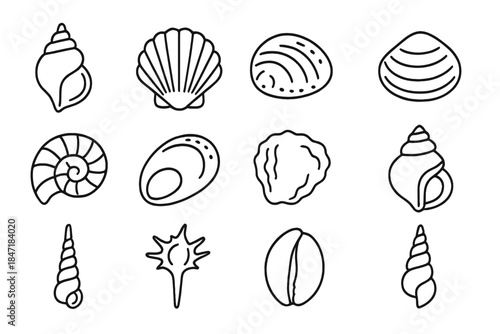 Shell Collection Icons. Line style icons of shell collections: conch, scallop, clam, mussel; nautilus, abalone, oyster, top shell;