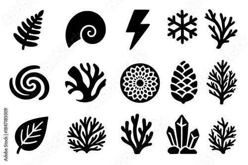 Nature's Iconic Patterns. Solid style icons of patterns in nature: fern leaf, nautilus shell, lightning bolt, snowflake crystal,