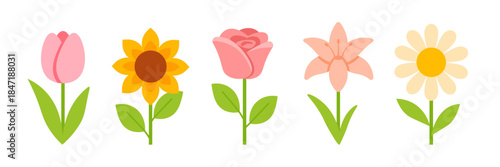 flower vector. flower icon set