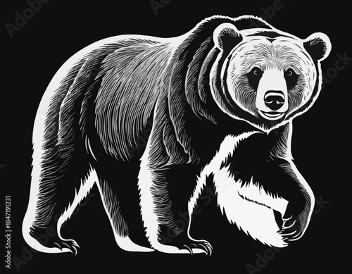 grizzly bear in black and white animal drawing,