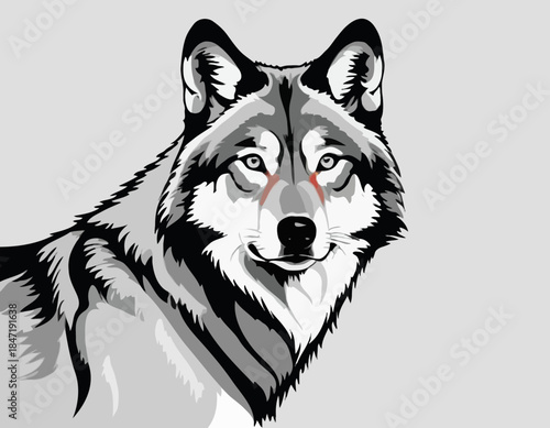 Wolf in black and white animal drawing,