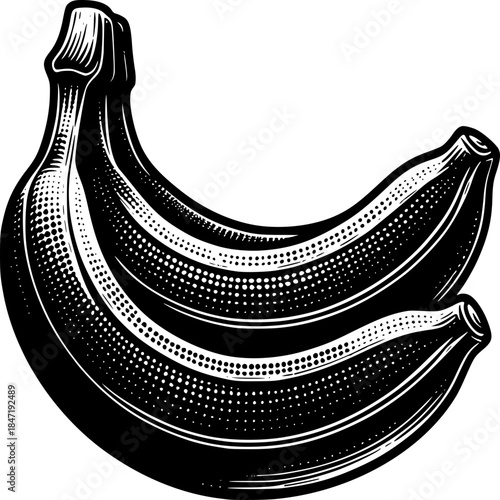 Monochrome Banana Still Life: A meticulously detailed illustration of a bunch of bananas in striking black and white, showcasing texture and form. 