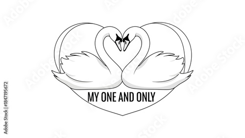 Two white swans forming a heart shape with their necks and "My One And Only" text for romantic design.