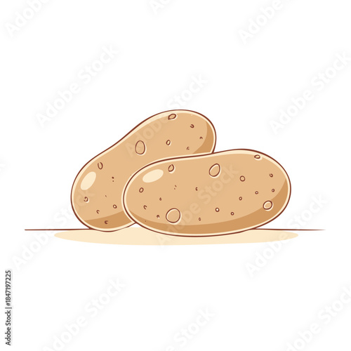 Two Simple Potatoes: Fresh, Nutrient-Rich Vegetables for Diverse Cooking and Food Preparation in Healthy Diet.