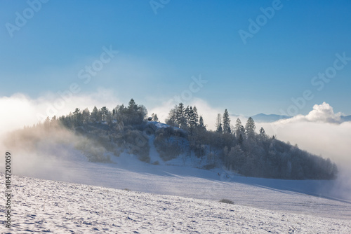 Wallpaper Mural Winter landscape with snow-covered hill and a forest of evergreen trees, shrouded in mist. The sky is blue and clear above the clouds. A peaceful, cold weather scenic. Torontodigital.ca