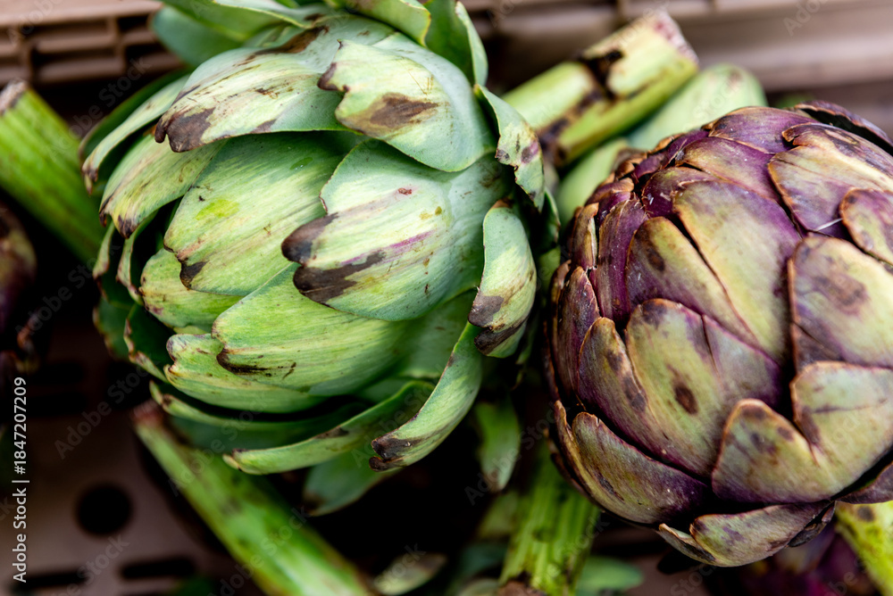 Fototapeta premium fresh artichokes at farmers market, close-up