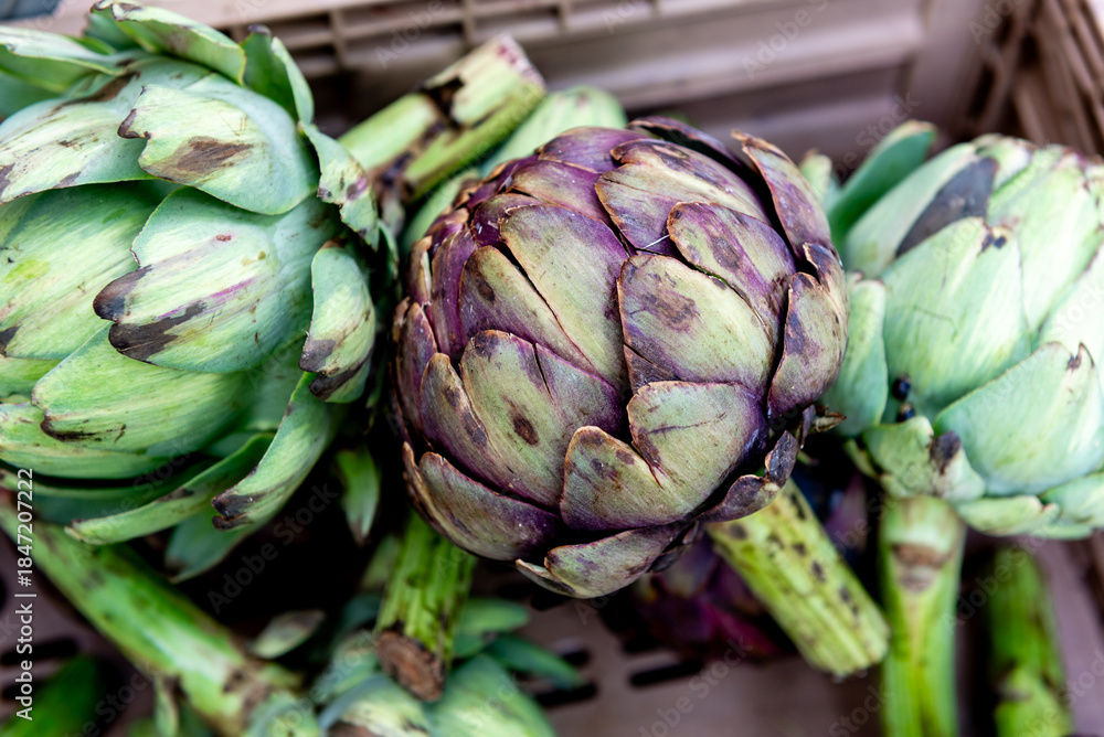 Fototapeta premium fresh artichokes at farmers market, close-up