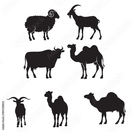 Vector of silhouettes of domestic animals such as dogs, sheep, cows, goats and camels on a white background