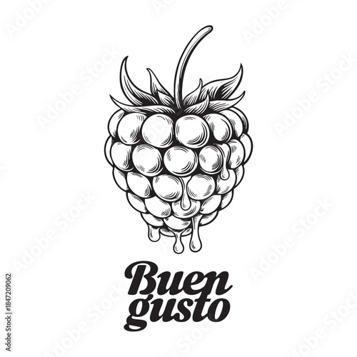 hand drawn berry illustration with buen gusto lettering for gourmet food branding