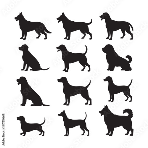 Vector of silhouettes of domestic animals such as dogs, sheep, cows, goats and camels on a white background