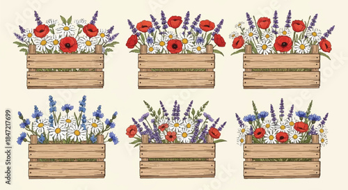 Seamless Pattern of Rustic Wooden Crates with Poppies and Lavender Flowers on a Light Beige Background