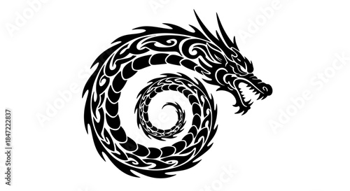 A detailed black and white vector illustration depicts a stylized dragon coiled in a spiral, showcasing intricate tribal patterns and a fierce expression, isolated on white.