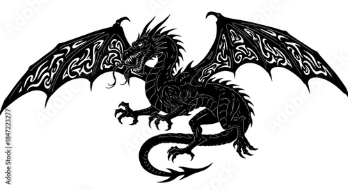 Detailed vector illustration of a formidable dragon with intricate wing patterns, poised for flight against a clean white backdrop, perfect for fantasy designs.