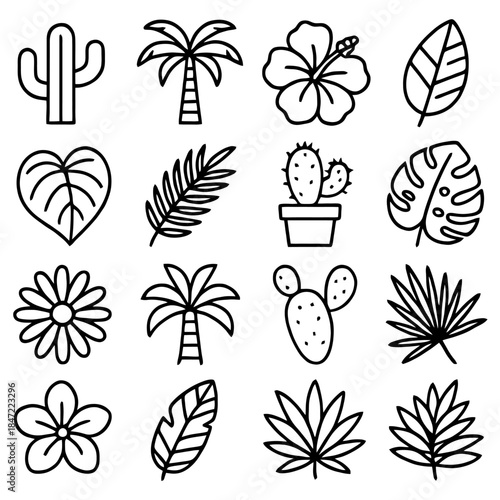 Botanical Collection: A collection of various botanical illustrations in a simple line art style. The image highlights a variety of botanical elements from cacti to tropical leaves. 