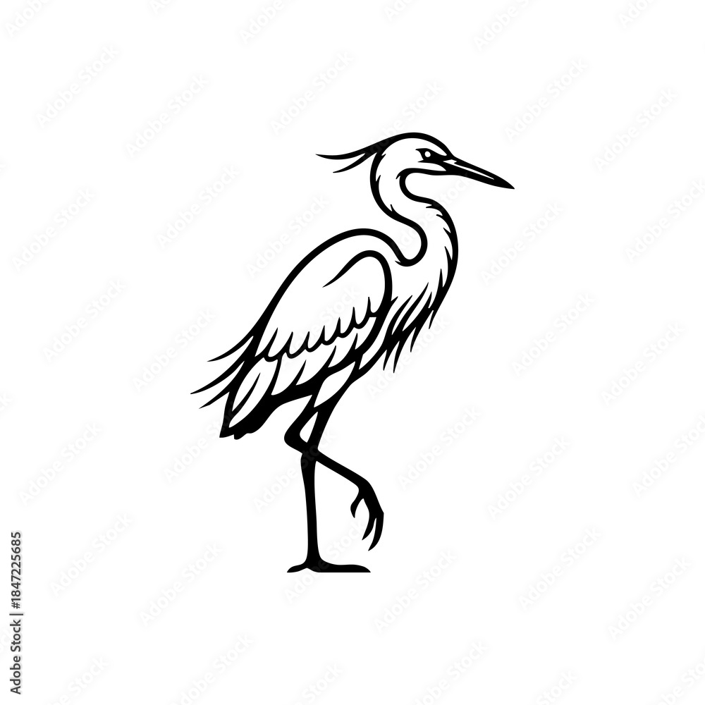 Fototapeta premium Black and White Egret Bird Elegant Wetland Icon