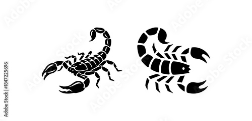 Black and Light Scorpion Desert Arachnid Symbol
