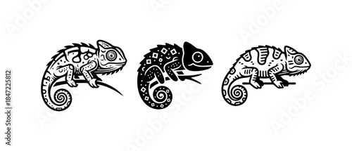 Black and White Chameleon Lizard Reptile Graphic