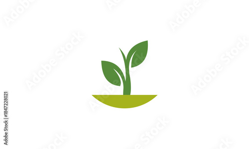Green sprout growing from fertile soil, symbolizing new beginnings.
