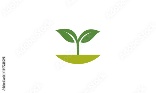 Green sprout growing from fertile soil symbolizing new beginnings.