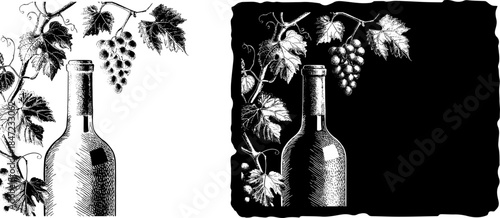 Vintage Wine Bottle with Grape Vine Engraving, Inverted Black White Xerography Vector on Transparent Background