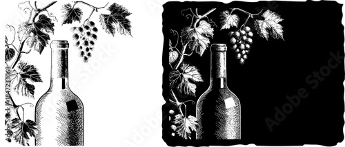 Vintage Wine Bottle with Grape Vine Engraving, Inverted Black White Xerography Vector on Transparent Background