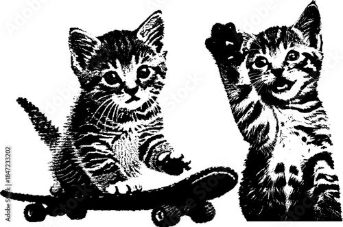 Vintage Kitten Skateboard Engraving, Inverted Black White Xerography Vector on Transparent Background