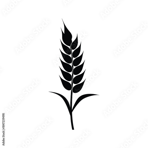 A simple reveals a single raspberry with leaves against a white background