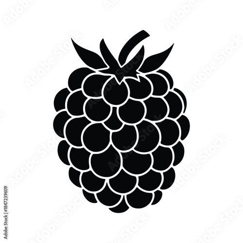 Black pirate chest icon is displayed on a white background with a keyhole