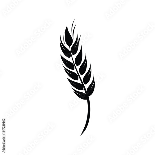 Silhouette of a man wearing a cap and buttoned jacket against white background