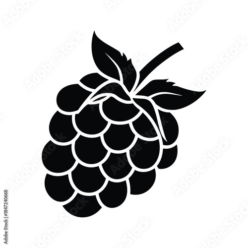 Simple black raspberry silhouette with leaves against a white background is displayed