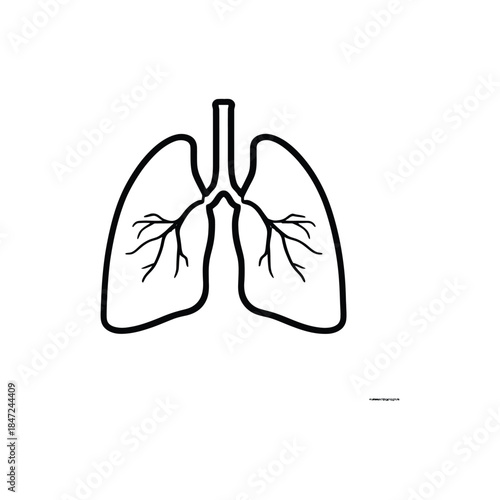 Minimalist black line depicts healthy human lungs with detailed bronchi on white background