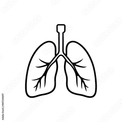 Simple black line drawing shows human lungs and trachea on white background