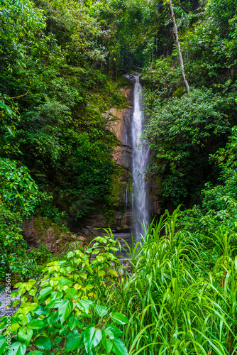 Clear water waterfall in the middle of a forest