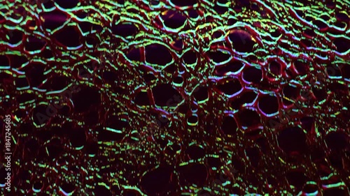 Crocodile skin artificial texture.Close-up of luminous leather texture. Animalistic wallpaper in holographic colors. 4k footage