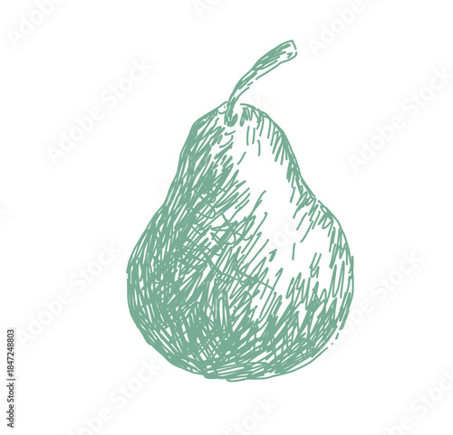 pear isolated on white