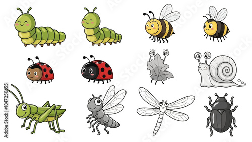 Cute cartoon insects collection featuring bee ladybug caterpillar snail and beetle vector illustration